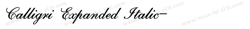 Calligri Expanded Italic字体转换